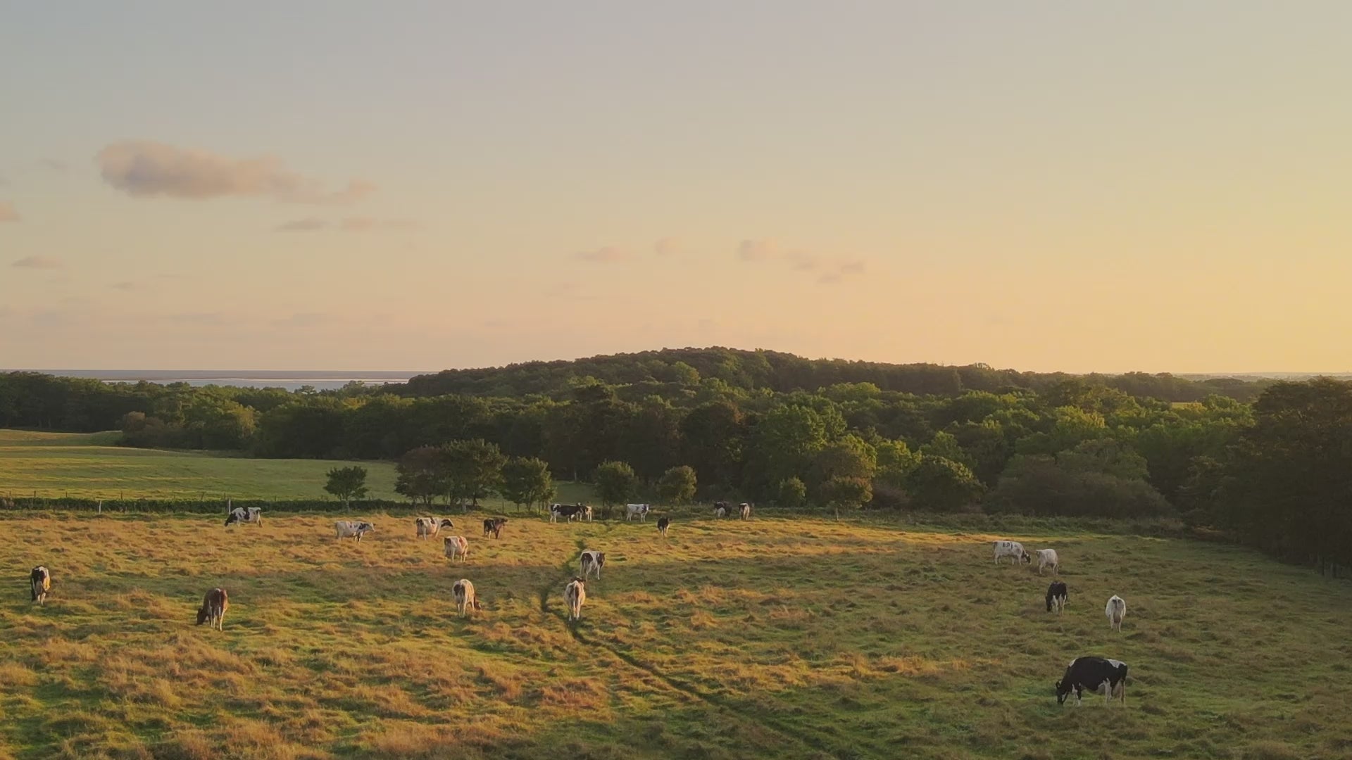 チーズ工房chikap